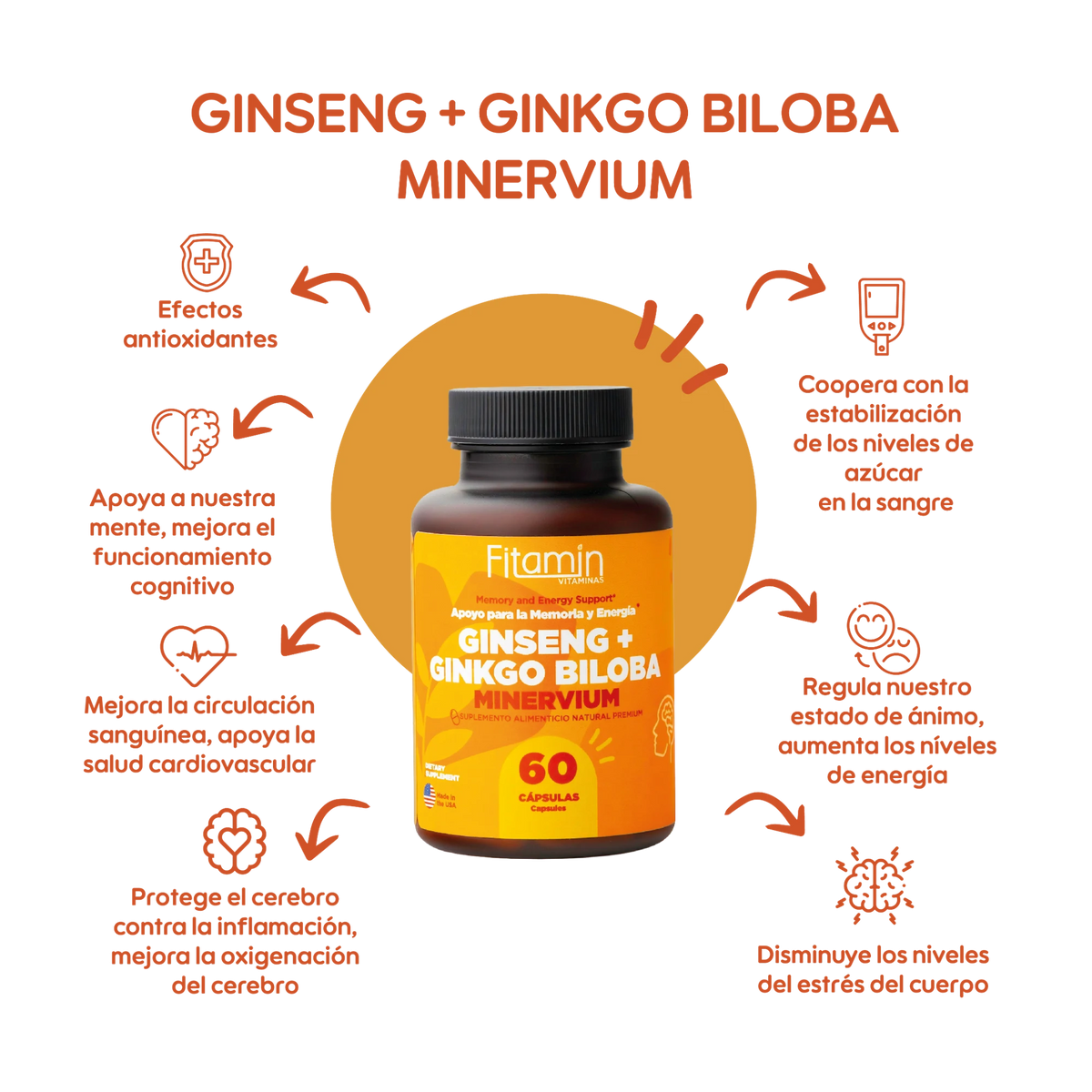 Ginseng + Ginkgo Biloba – Vitaminas Fitamin (imagen 2)